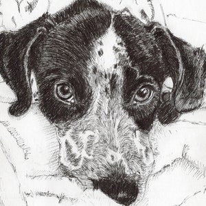 Spotty Dog greetings card 6x4ins