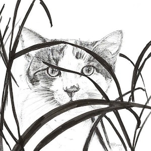 Stalking kitty black and white 6x4ins greeting card
