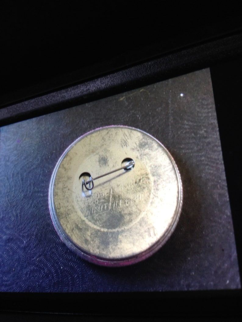 Julian Wildflower Show Pin Back