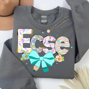 May include: A dark gray sweatshirt with the word "Ecse" in colorful, patterned letters. The design includes a turquoise bow, a pencil, and floral accents. A gold necklace is visible.