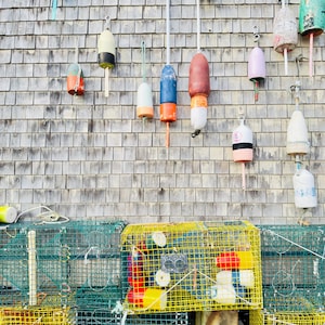 Puede incluir: Una colección de boyas y nasas de langosta coloridas. Las boyas, en varios colores como turquesa, rojo y azul, cuelgan contra una pared de tejas de madera desgastada. Debajo, se ven nasas de langosta de alambre amarillo y verde apiladas.