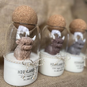 Highland Kuh Kerze Geschenk für Highland Kuh Liebhaber personalisierte Herbstkerze große benutzerdefinierte Kerze im Glas Bild 7