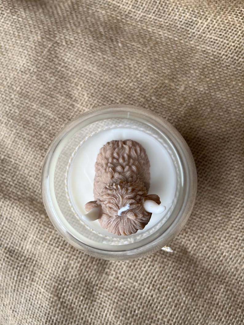 Highland Kuh Kerze Geschenk für Highland Kuh Liebhaber personalisierte Herbstkerze große benutzerdefinierte Kerze im Glas Bild 13