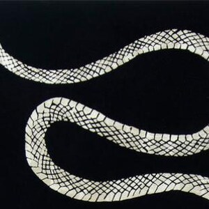 Puede incluir: Una detallada piel de serpiente blanca sobre un fondo negro. La serpiente se representa en una pose sinuosa y curvada, mostrando su intrincado patrón de escamas. La imagen es una representación artística de alto contraste.