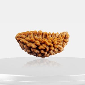 1 Mukhi Rudraksha Bead • Nepali Origin • Rare Lab Certified Shiva Rudraksha • Crown Chakra Bead • Spiritual Vedic Gift for Men & Women