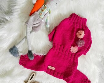Handgemaakte kleding (gebreid pak, trui) voor kleine honden en katten