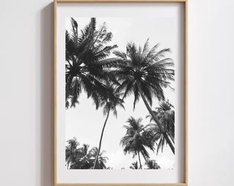 Black & White Palm Tree Print: Minimalist Coastal Photography (Digital Download)