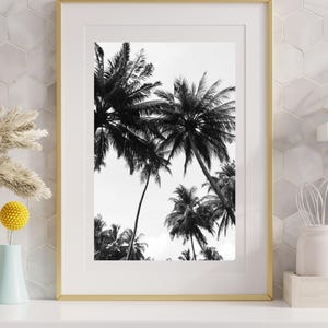 May include: Monochrome framed print of palm trees. The image is set in a gold frame with a white mount. The artwork shows several palm trees against a bright sky, creating a tropical scene.