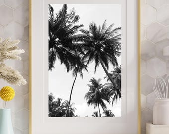 Black and White Palm Tree Print: Minimalist Coastal Photography
