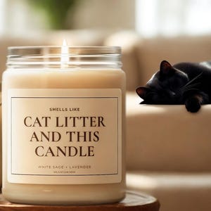 Bougie drôle de chat, odeur de litière de chat, cadeau d&#39;amant de chat pour maman ou papa de chat, bougie de cire de soja, cadeau de pendaison de crémaillère et d&#39;anniversaire