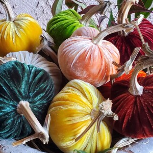 10 small Silk Velvet Pumpkins with real stems and 10 Silk Velvet Acorns with real caps - #1854
