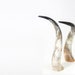 see more listings in the ANKOLE HORN section