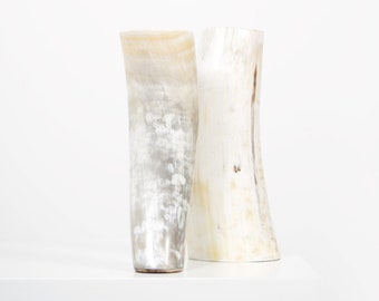 Ankole & Gyr Horn Vase | LIGHT