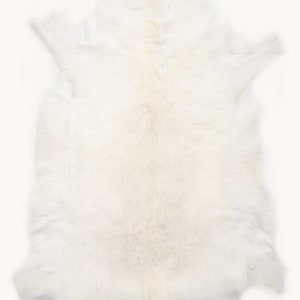 RARE ALBINO White Scandinavian Reindeer Hide Premium Quality image 3