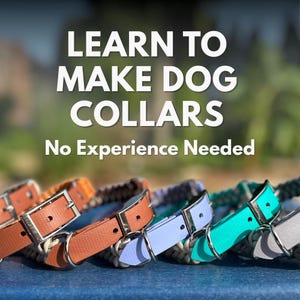 May include: Image features a row of colorful dog collars with leather and metal hardware. The collars are in shades of brown, orange, blue, teal, and gray. Text overlay reads "LEARN TO MAKE DOG COLLARS" and "No Experience Needed."