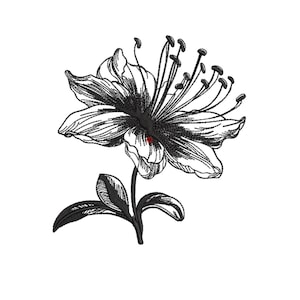 Wildflowers embroidery design, Lily Flowers Embroidery, lily clipart, Flower Embroidery Design.