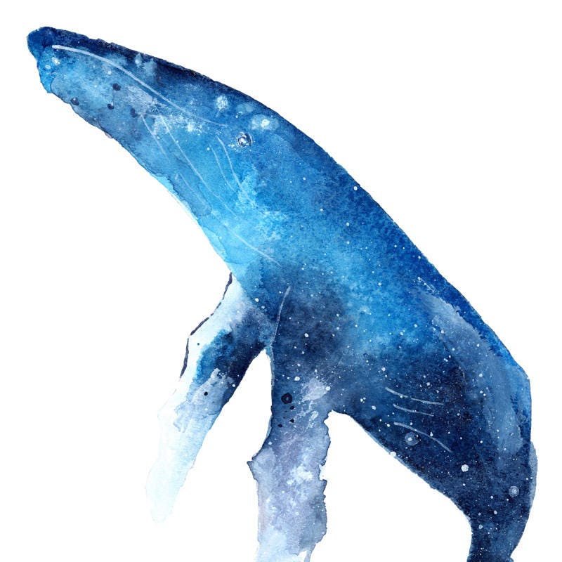 Humpback Whale Print. Humpback Print. Ocean Art Print. Watercolor Whale ...