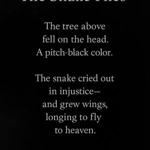 The Snake Flies – Minimalist Digital Poem, Emotional Printable Gift, Modern Poetry Wall Art
