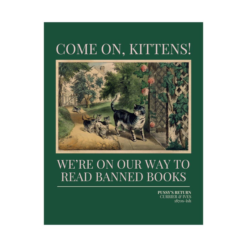 Read Banned Books Cat Lover Poster Print, Reading Teacher, Romance Reader, Silly Equal Rights Bookish Gift, Kittens Your Grandma Would Love image 3