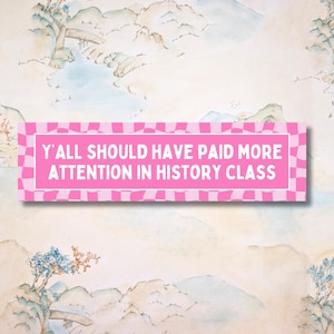 Op de afbeelding: Een roze en wit geruite banner met de tekst "Y'all should have paid more attention in history class". De banner is tegen een achtergrond van een aquarel schilderij van bergen en een rivier.