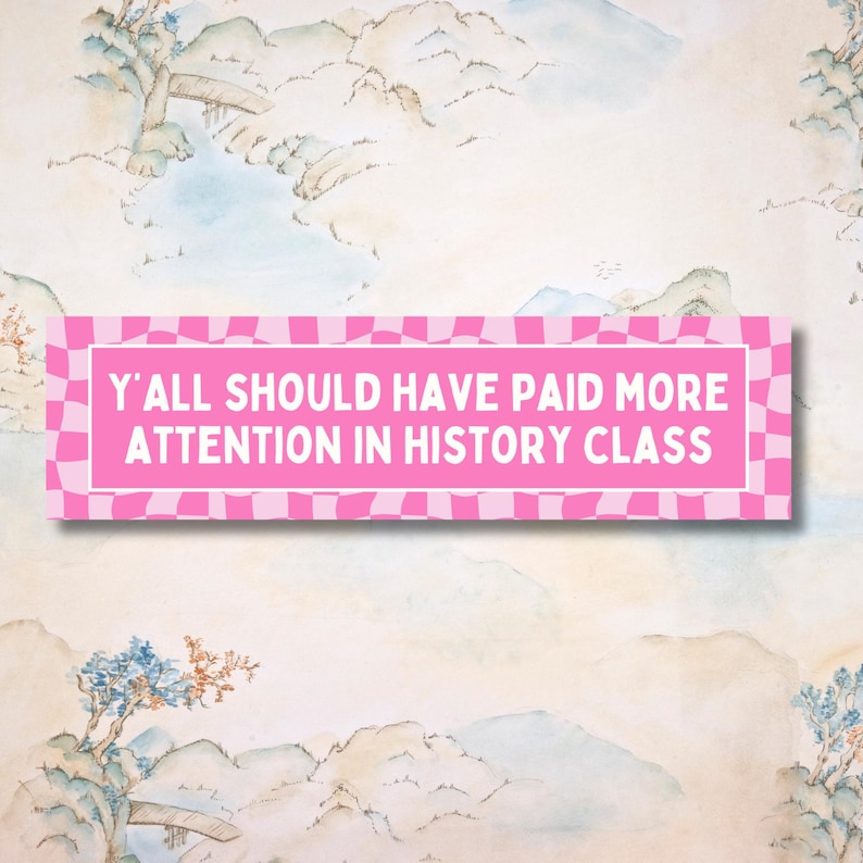 Op de afbeelding: Een roze en wit geruite banner met de tekst "Y'all should have paid more attention in history class". De banner is tegen een achtergrond van een aquarel schilderij van bergen en een rivier.
