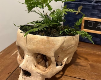 Handgeschilderde schedelplanter, plantveilige, varen- en succulente plantenbak voor binnen