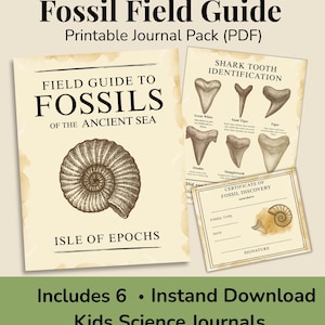 May include: A printable Fossil Field Guide journal pack with the title "Fossil Field Guide" at the top. The journal includes a field guide to fossils, shark tooth identification, and a certificate of fossil discovery. The journal is designed for kids.