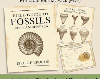 Printable Fossil Field Guide – Kids Nature Journal PDF | Shark Tooth ID – Ammonite Facts – Explorer Logbook – Fossil Booklet – Kids Gift