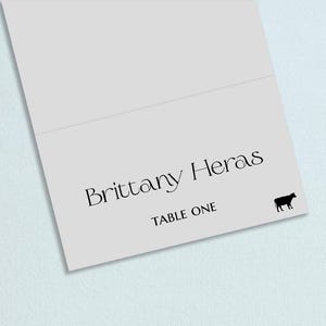 Tented or Flat Place Cards or Escort Cards with Optional Meal Choice Icons, Custom Colors Available