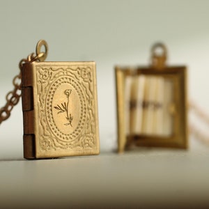 Buch Medaillon Foto Halskette, Geschenk für den besten Freund, Gold viktorianischen Medaillon, personalisierte Medaillon, einzigartigen Vorschlag Idee geheime Nachricht (LK-47)