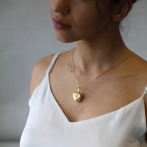 Collier médaillon coeur avec photo, collier médaillon photo, collier commémoratif, médaillon coeur en or, cadeau personnalisé pour femme... F&F image 2