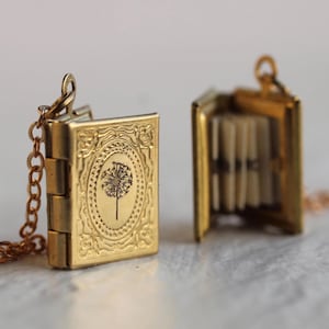 Personalized Book Locket Necklace: Brass Victorian Photo Keepsake, LKGP-5