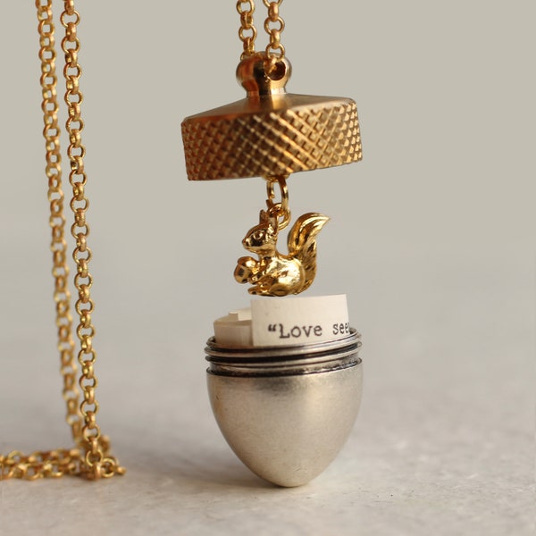 Acorn Locket, Acorn Necklace, Secret Message Locket, Personalized Necklace, Best Friend Gift, Proposal, VICEVERSA ACORN LOCKET