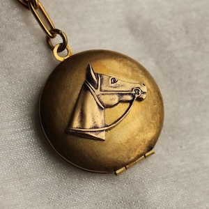 Personalized Horse Locket Necklace: Antique Brass Photo Pendant, LKGP-120