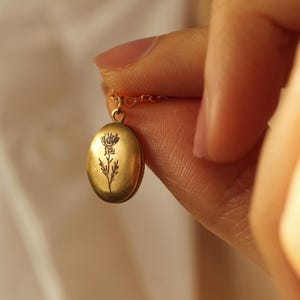 Petit collier médaillon avec photos, médaillon ovale personnalisé gravé, cadeau personnalisé pour petite amie, collier photo en laiton doré LKGP-2
