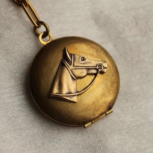 Personalized Horse Locket Necklace: Antique Brass Photo Pendant, LKGP-120