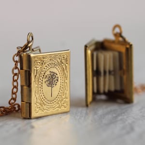 Collar con medallón de libro personalizado con fotos, regalo para mejor amiga o hermana, medallón victoriano dorado, regalo de graduación, idea para una propuesta de matrimonio LKGP-5