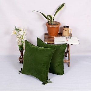 Velvet Throw Pillow Cover: Corded Accent Cushion, Customizable Size