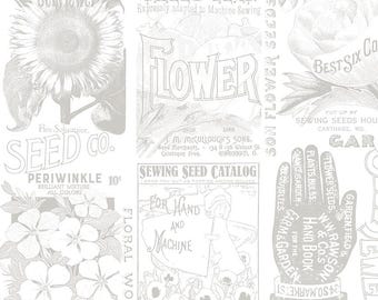 Sewing Seeds III Wide Quilt Back Cotton Fabric (sold by the yard) | Quilt Backing Fabric | WB15696 | 108 in wide | J Wecker Frisch | Garden