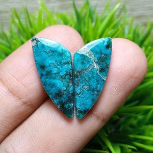 Peut inclure: Deux cabochons de pierres précieuses polies, de couleur turquoise, avec des veines sombres. Les pierres en forme de cœur ont une finition brillante. Le fond est un feuillage vert flou.
