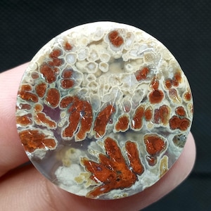 Plume agate , picture agate, moss agate gift engagement
