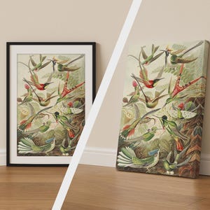 Stampa "Uccelli del Paradiso", poster da parete esotico, decorazione su tela tropicale, regalo per gli amanti della natura