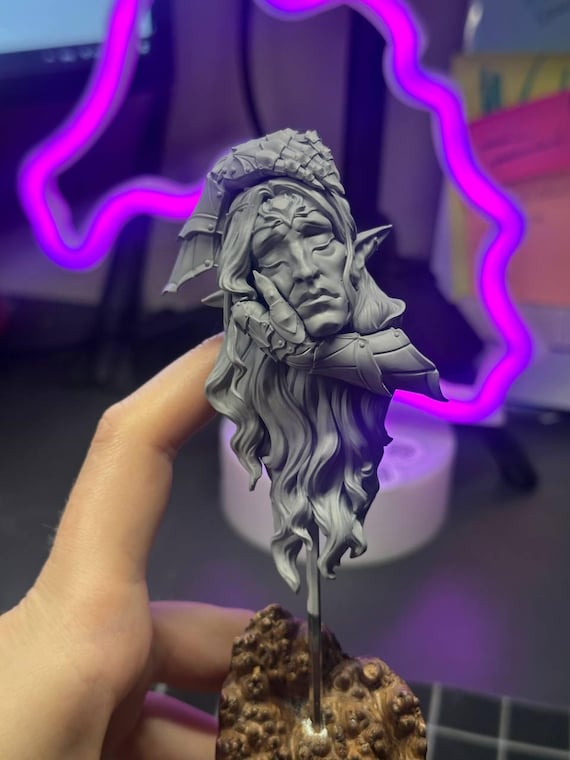 Kind Mirel resin  printed bust for miniature painting