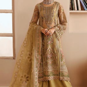 Pakistani Salwar Kameez | Chiffon Salwar Kameez | Embroidered Salwar Kameez With Dupatta | Pakistani Dresses For Women Organza Salwar Kameez