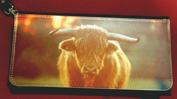 Elegant Evening Clutch Wallet: Compact Night Out Purse for Women's Essentials