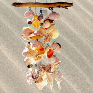 Peut inclure: Un carillon éolien artisanal en coquillages. Il est composé d'une branche en bois naturel et de coquillages de différentes formes et couleurs, notamment blanc, orange et beige. Des perles turquoise sont intercalées. Fond texturé sable.