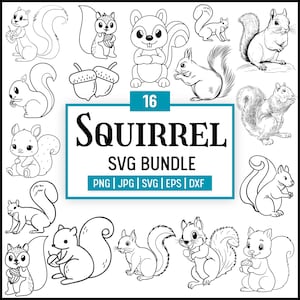 Squirrel Svg Bundles,Squirrel Clipart,Squirrel Vector,Squirrel Cut File,Cute Squirrel Svg,Digital File,Squirrel Silhouette,Animal Svg