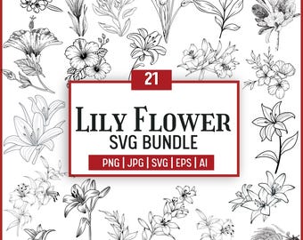 Lily Name / Flower -- Digital Design -- PNG + SVG Download - Etsy