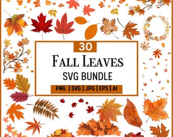 May include: A collection of 30 fall leaves in various colors, including red, orange, and yellow. The image includes individual leaves, leaf piles, and branches, with the text "Fall Leaves SVG Bundle". Formats include PNG, SVG, JPG, EPS, and AI.