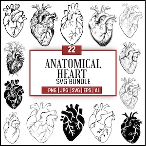 Anatomical Heart Svg Bundle, Flower Heart Svg, Heart Svg, Nurse Life, Anatomy Svg, Human Heart Svg, Medical Svg, Cut File Cricut, Silhouette